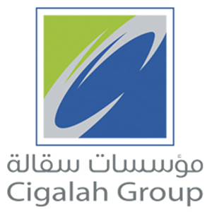 مؤسسات سقالة 